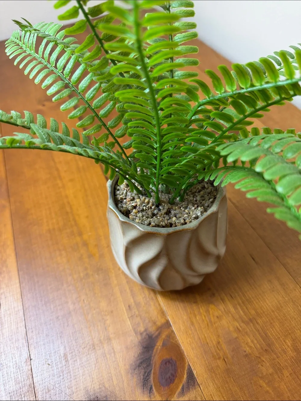 Faux Fern | Cream Tan Textured Ceramic Pot | Minimalist | Houseplant | Green